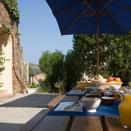 A L'ombre Du Clocher