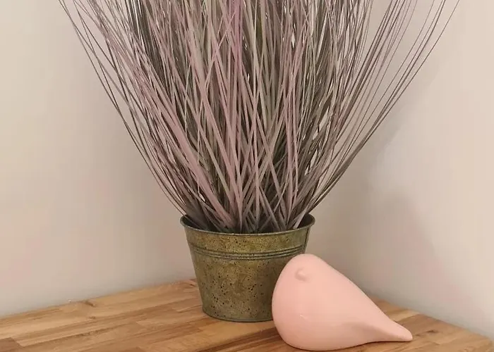 A L'ombre Du Clocher Frühstückspension